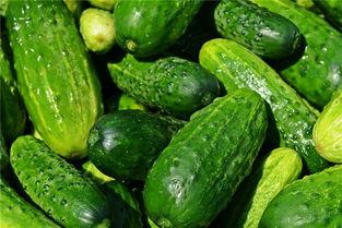 梦见吃树瓜,揭秘吃树瓜的神秘寓意 第3张 梦见吃树瓜,揭秘吃树瓜的神秘寓意 第3张